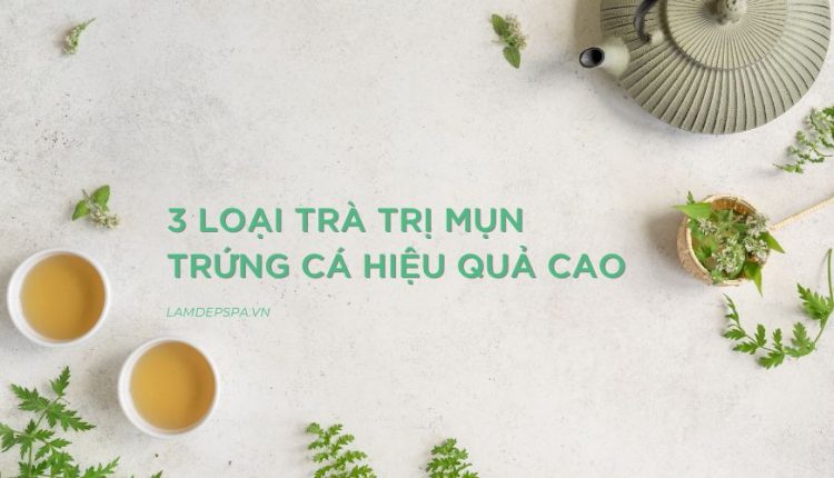 3 loại trà trị mụn hiệu quả cao